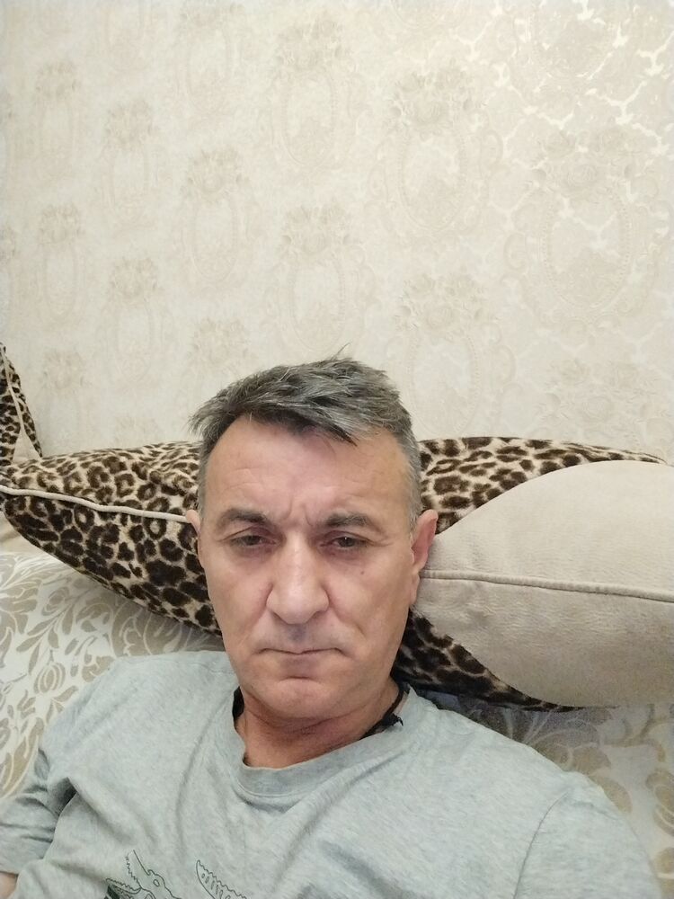  53137636  , 49 ,    