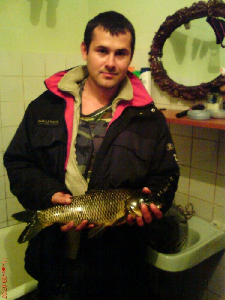  ,   , 41 ,   c 