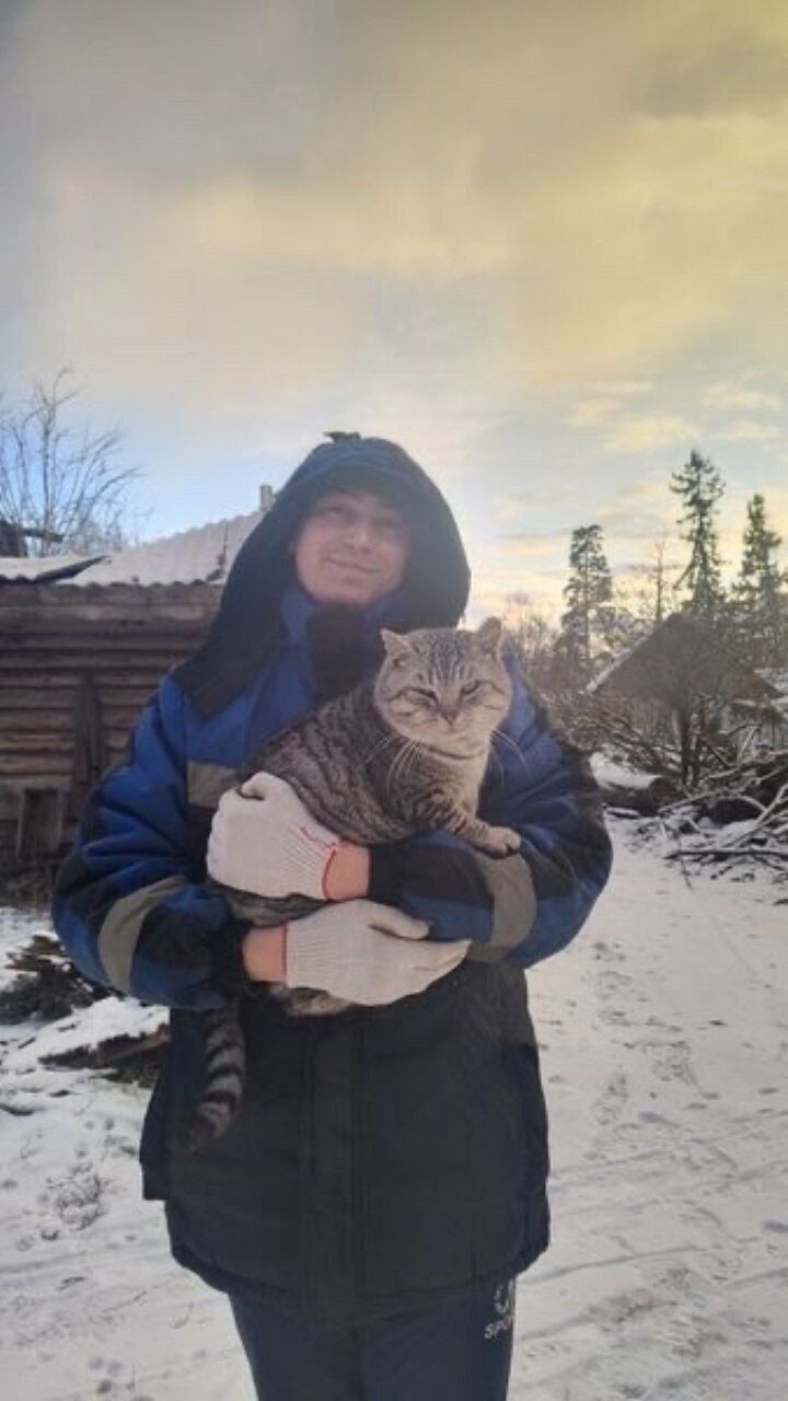 ���������� ������������, ���� ������� ������, 28 ���, ������������ ��� ������, ����� � ���������, c�������� ���������