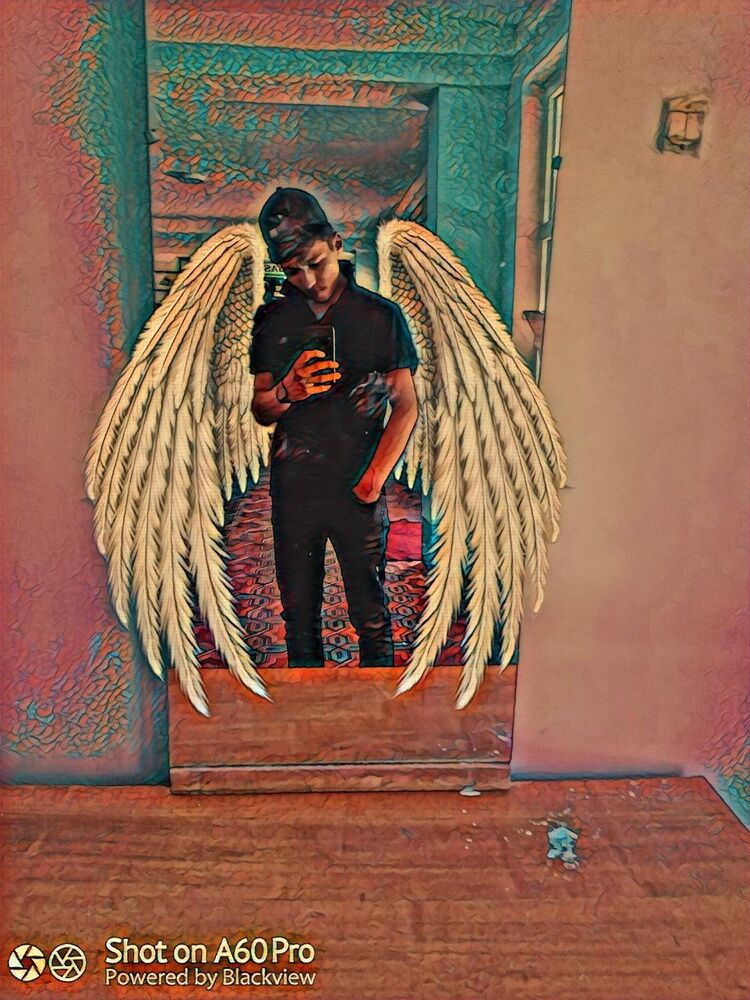 ���� 25073706 ����� ������, 22 ����, ���� ���������� � �����-����������