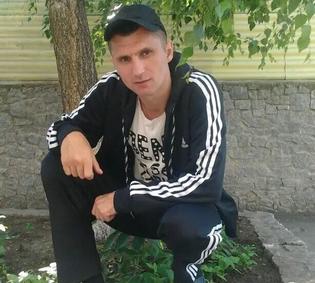  31270446  , 44 ,    