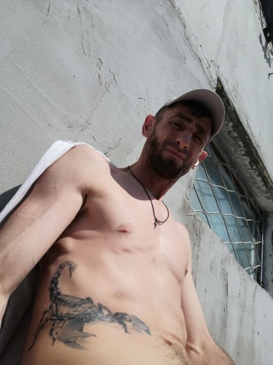  33641286  , 44 ,    