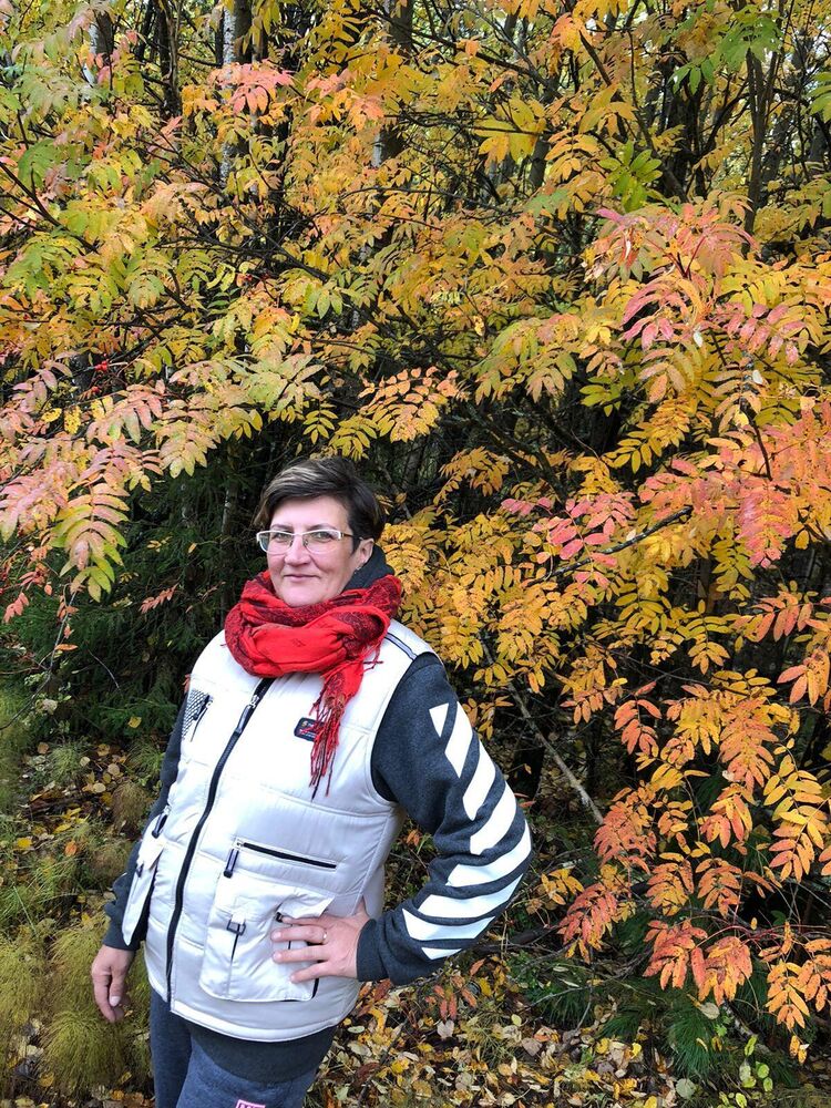  50314906  , 53 ,    -