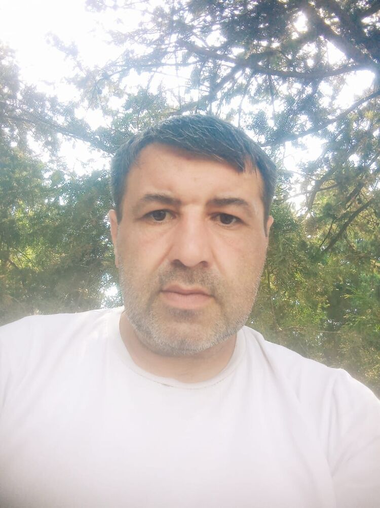  49602796  , 47 ,    