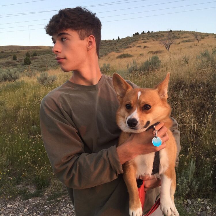 ���� 25973216 ����� �����, 25 ���, ���� ���������� � ������