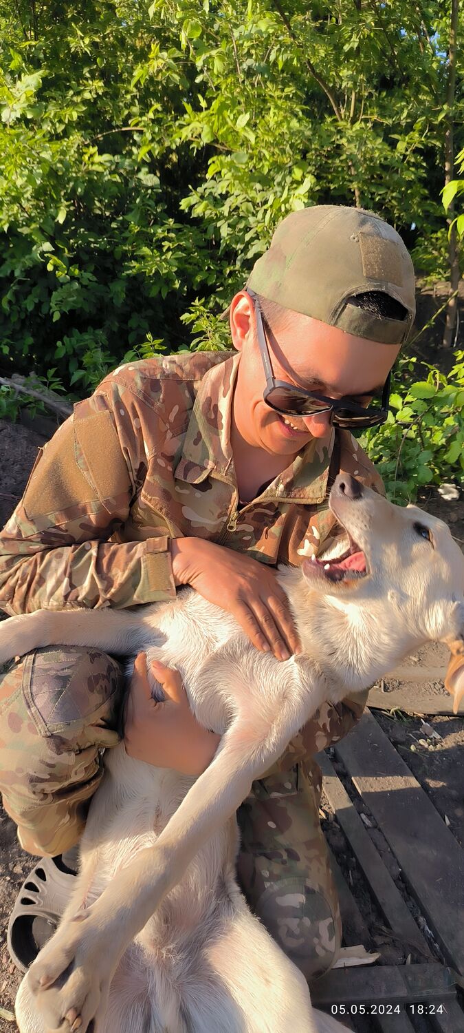 ���������� ���, ���� ������� �������, 32 ����, ������������ ��� ������, ����� � ���������