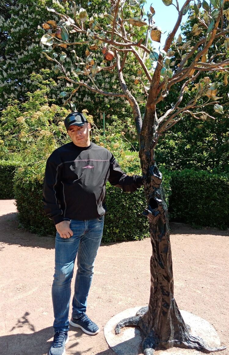 ���������� �����������, ���� ������� �������, 48 ���, ������������ ��� c�������� ���������