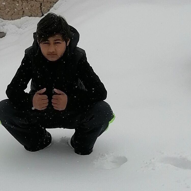 ���� 41978106 ����� ������, 20 ���, ���� ���������� � �����