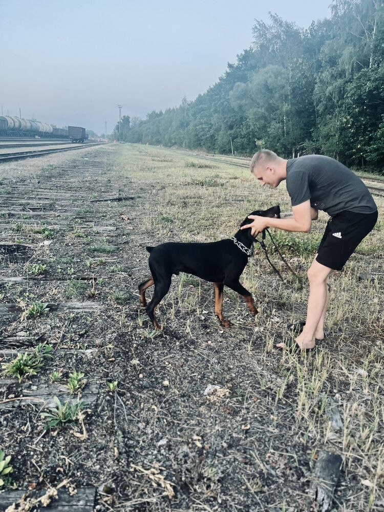 ���� 36983786 ������� ����, 28 ���, ���� ���������� � �������