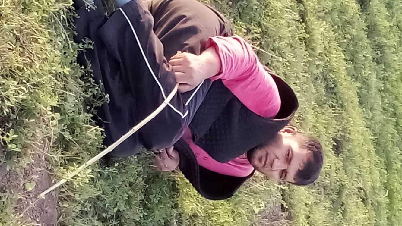 ���������� ������ ��������, ���� ������� ��������, 40 ���, ������������ ��� ������, ����� � ���������