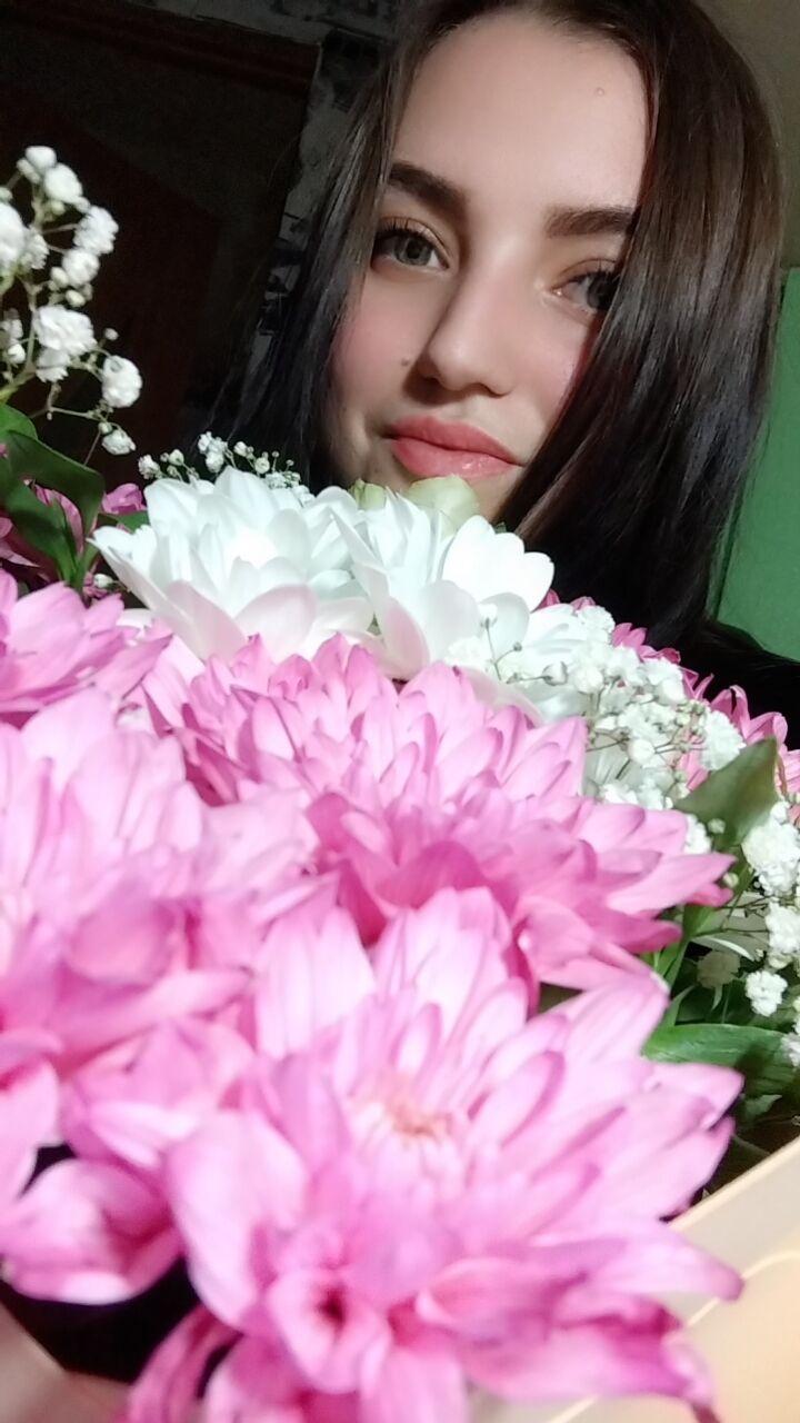  47905436  , 24 ,    