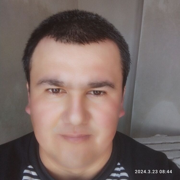  42343316  , 36 ,    