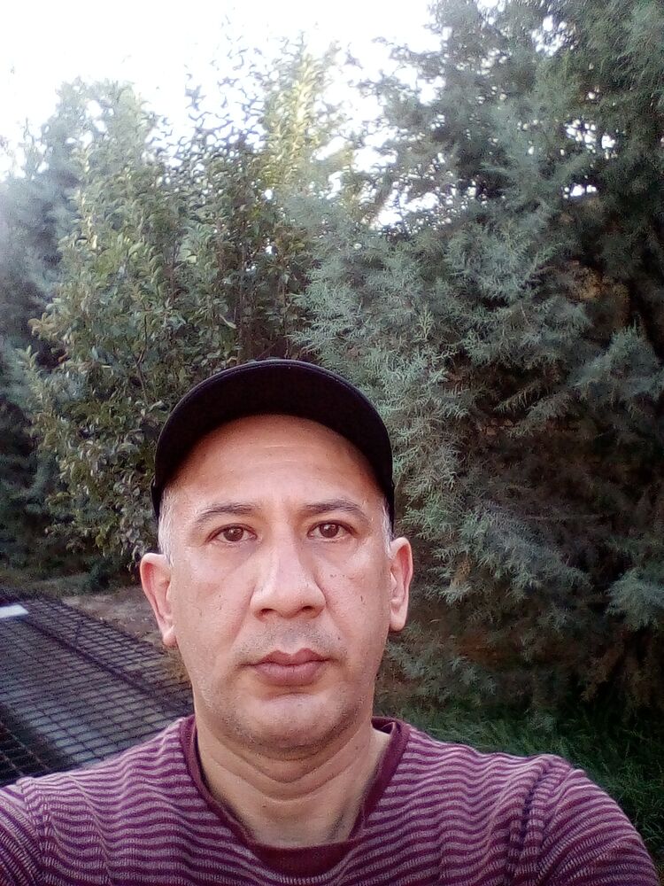  38647566  , 46 ,    