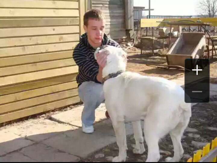 ���� 15429026 ������� Andrey, 39 ���, ���� ���������� � ���������