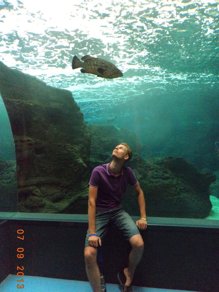  8500786  , 36 ,    -