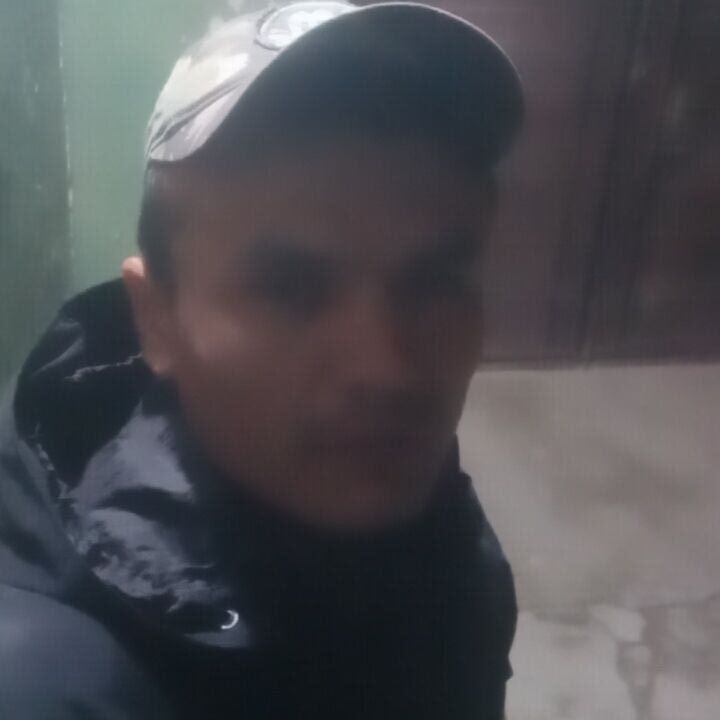  38785766  , 28 ,    