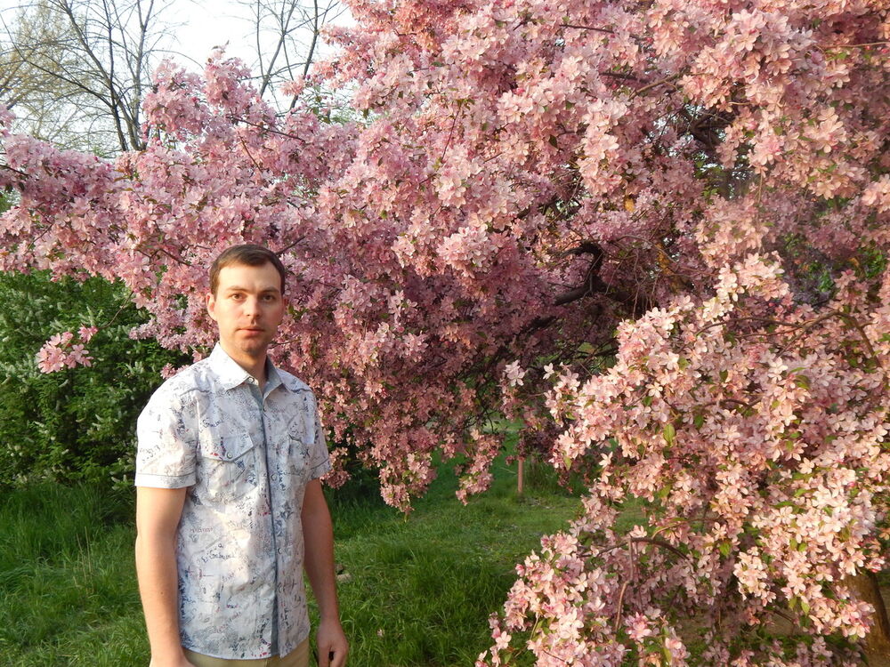 ���� 9441656 ������� ������, 38 ���, ���� ���������� � ������