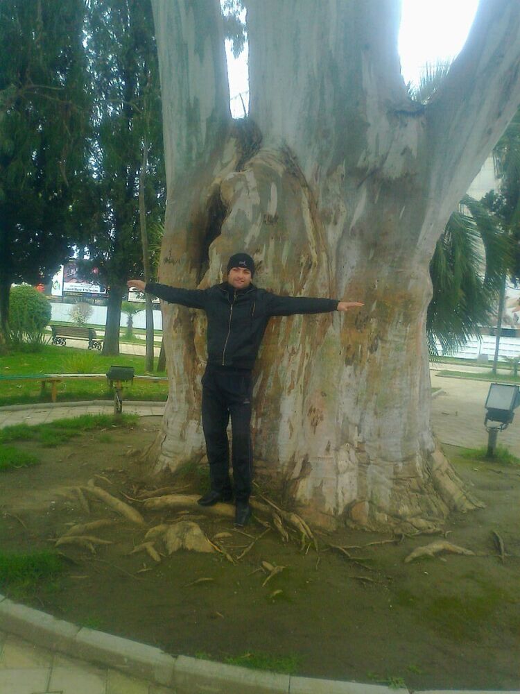 ���������� ���������, ���� ������� �����, 41 ���, ������������ ��� ������, ����� � ���������