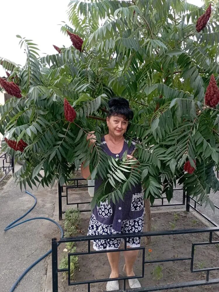  ,   , 63 ,   c 
