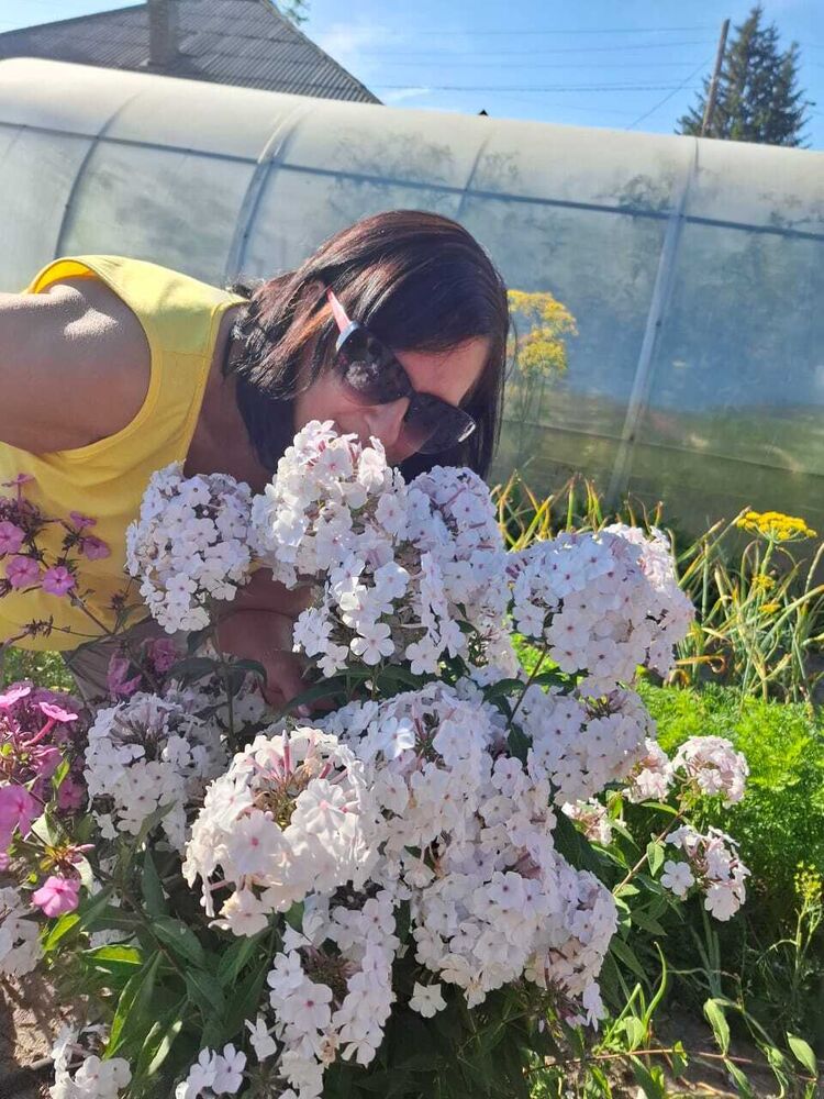 ���������� �����������, ���� ������� �����, 54 ����, ������������ ��� c�������� ���������