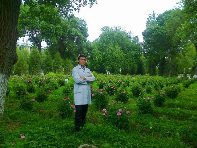  5238566  Sanjarbek, 36 ,    