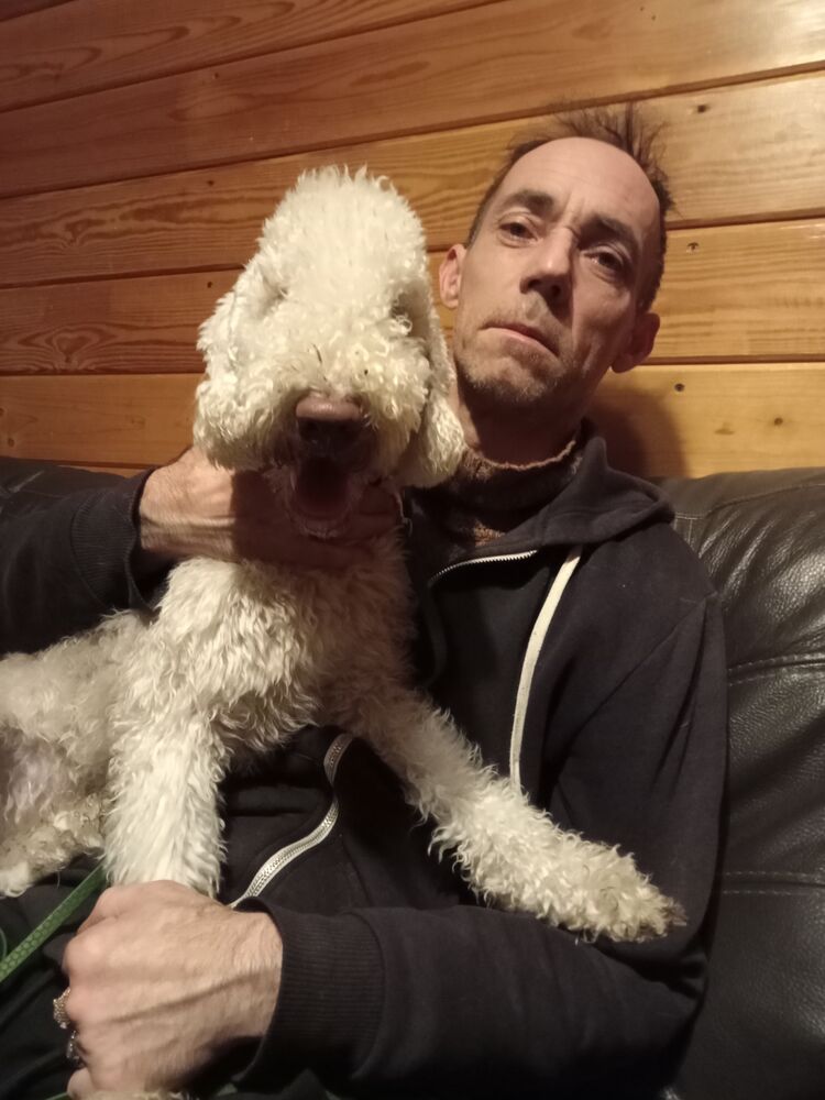 ���� 56117526 ������� Vik, 51 ���, ���� ���������� � �����-����������