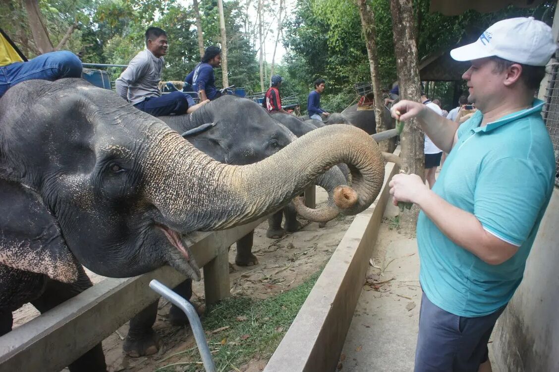 ���������� ������-��-����, ���� ������� ������, 37 ���, ������������ ��� c�������� ���������