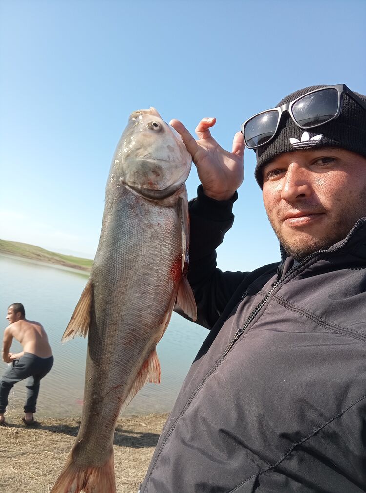 ���� 55900556 ������� ����, 31 ���, ���� ���������� � ���������