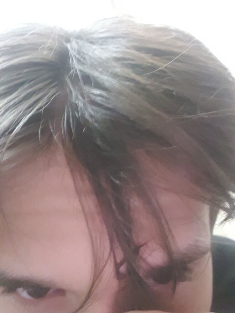 ���� 41691446 ����� �����, 20 ���, ���� ���������� � ��������