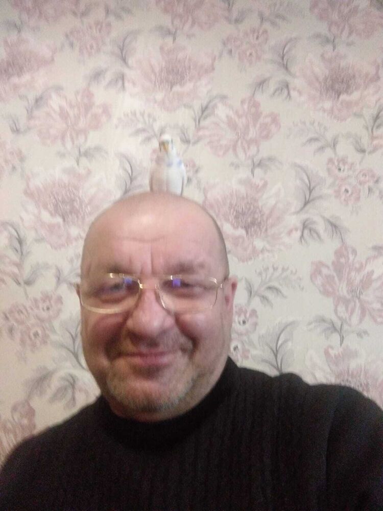 ���� 51465956 ������� ������, 62 ����, ���� ���������� � ����������