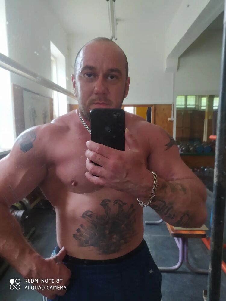  31318386  , 38 ,    