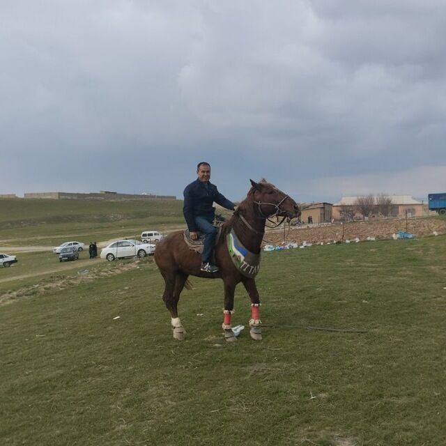 ���� 46374076 ������� ���������, 30 ���, ���� ���������� � ������