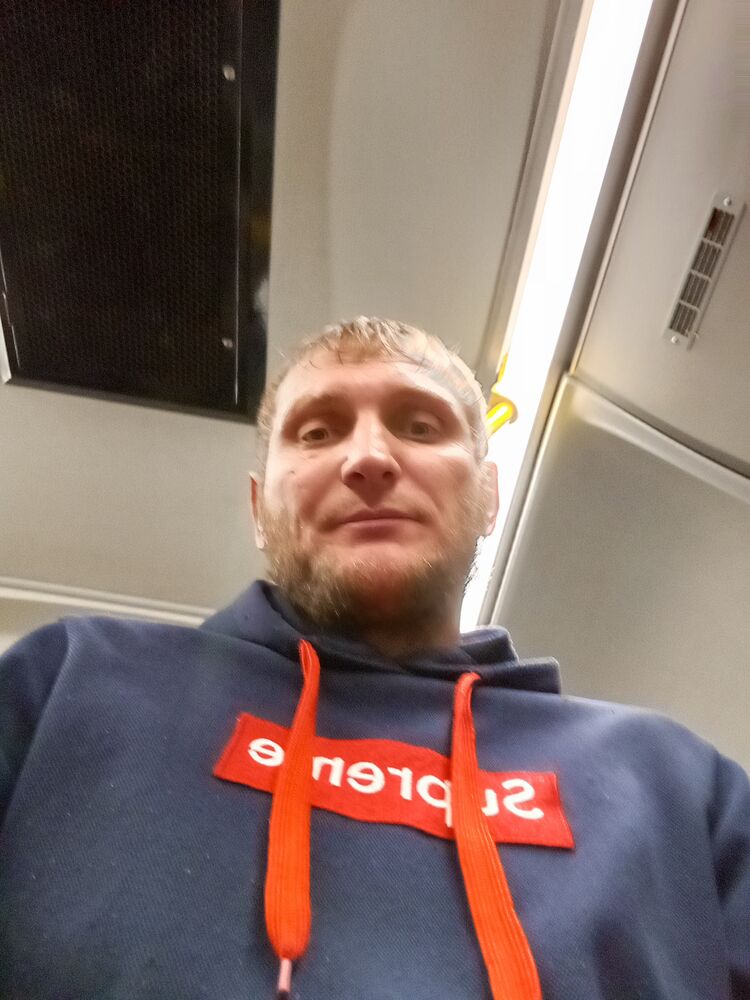  53354456  , 37 ,    -