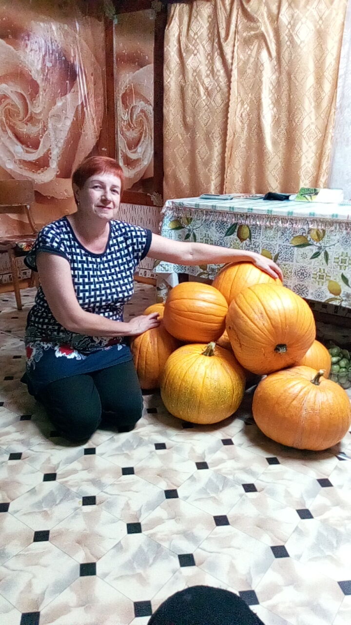  41516576  Olga, 56 ,    