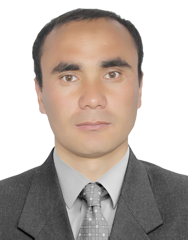 ���� 24491006 ������� Ghk, 33 ����, ���� ���������� � �����������