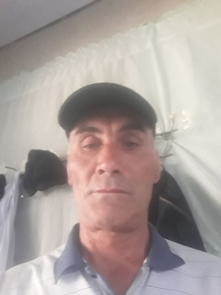  44569696  , 50 ,    
