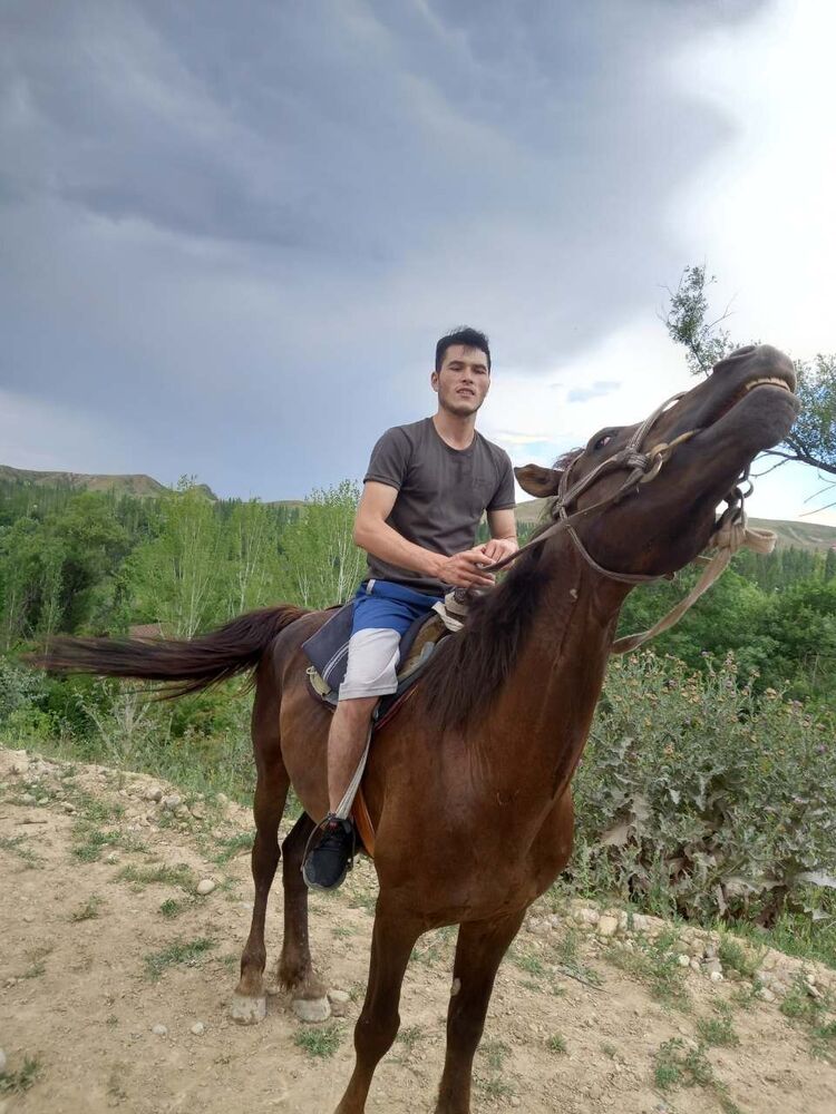 ���� 24962656 ������� ���, 27 ���, ���� ���������� � �����-����������