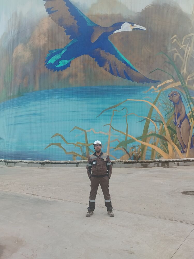  45539586   , 43 ,    