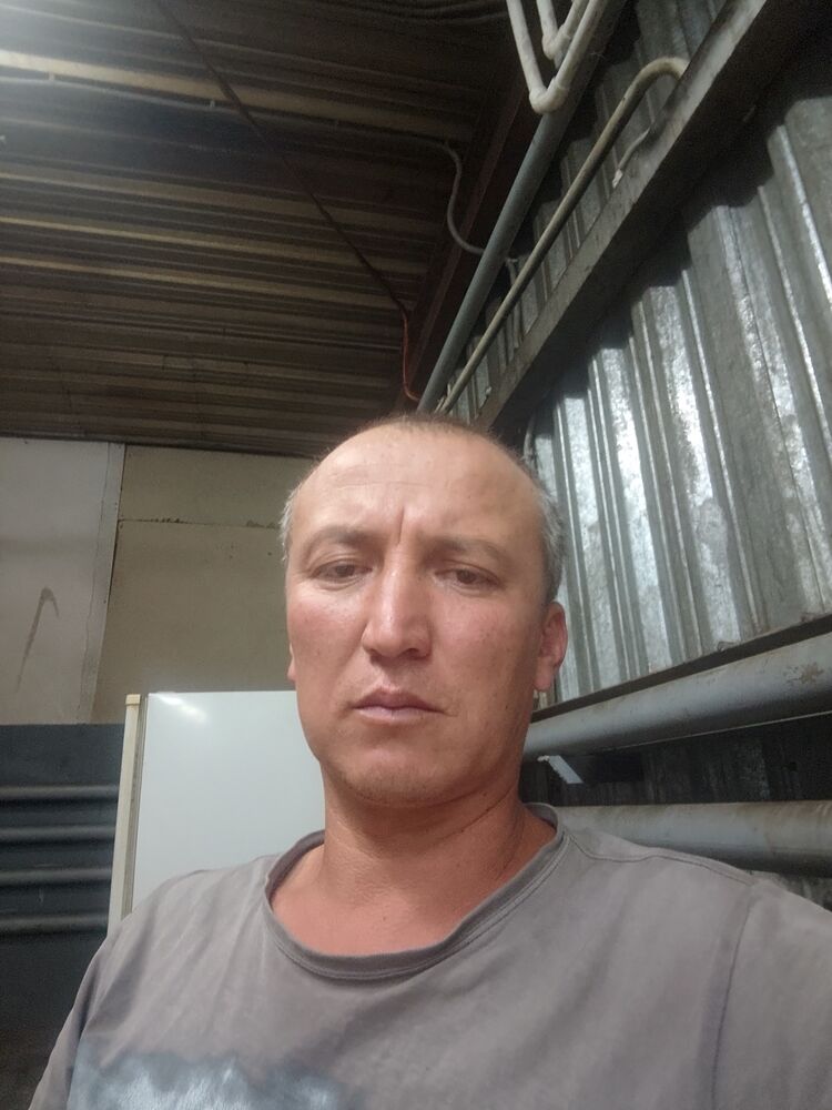 ���� 52697566 ������� �������, 38 ���, ���� ���������� � �����������