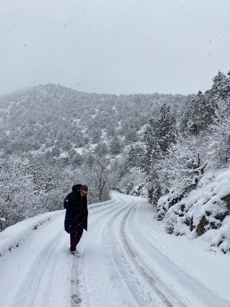 ���� 25349546 ������� �����, 31 ���, ���� ���������� � �����������