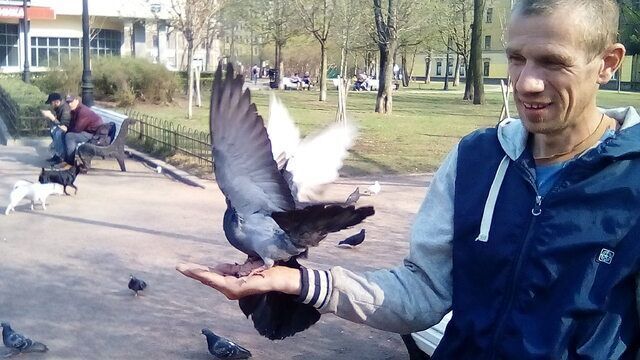  31423286  , 44 ,    -