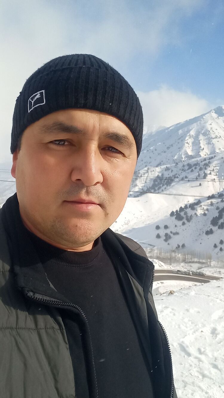  50426986  , 37 ,    -