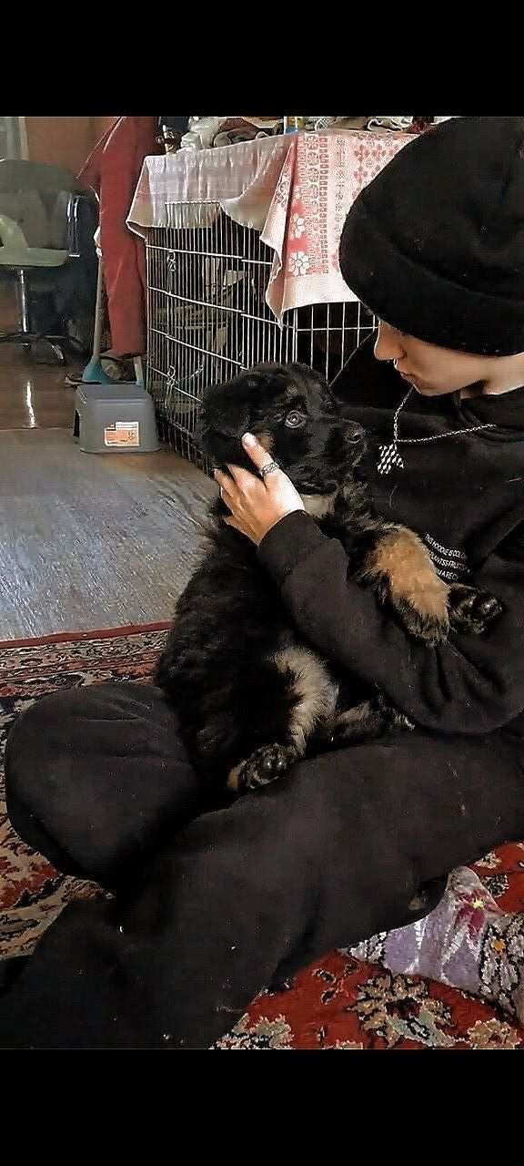 ���������� ������, ���� ������� �����, 20 ���, ������������ ��� ����� � ���������, c�������� ���������, ���������