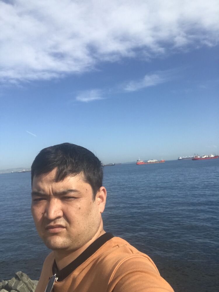  33437756  , 36 ,    