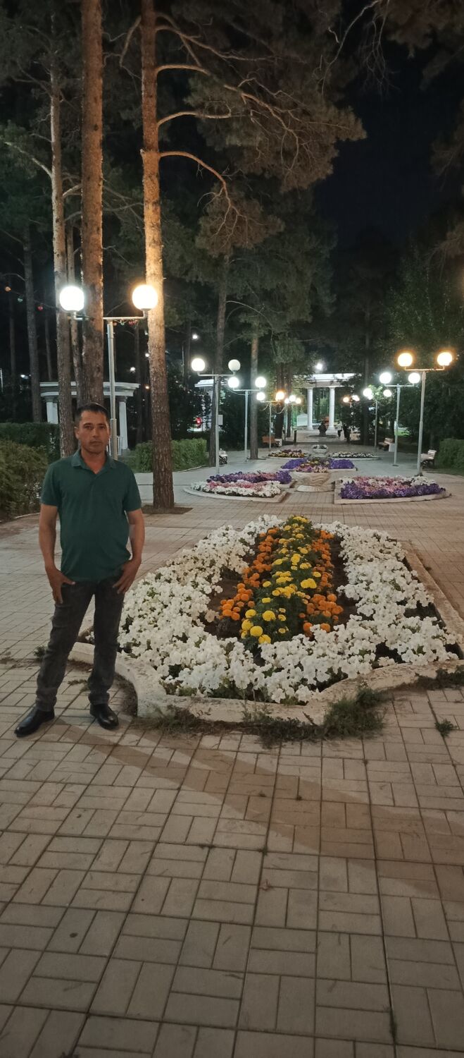 ���� 55842356 ������� ���������, 38 ���, ���� ���������� � ��������