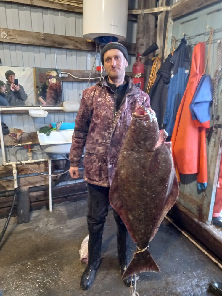  29587626  , 43 ,    -