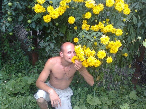  7629556  0975902078, 44 ,    