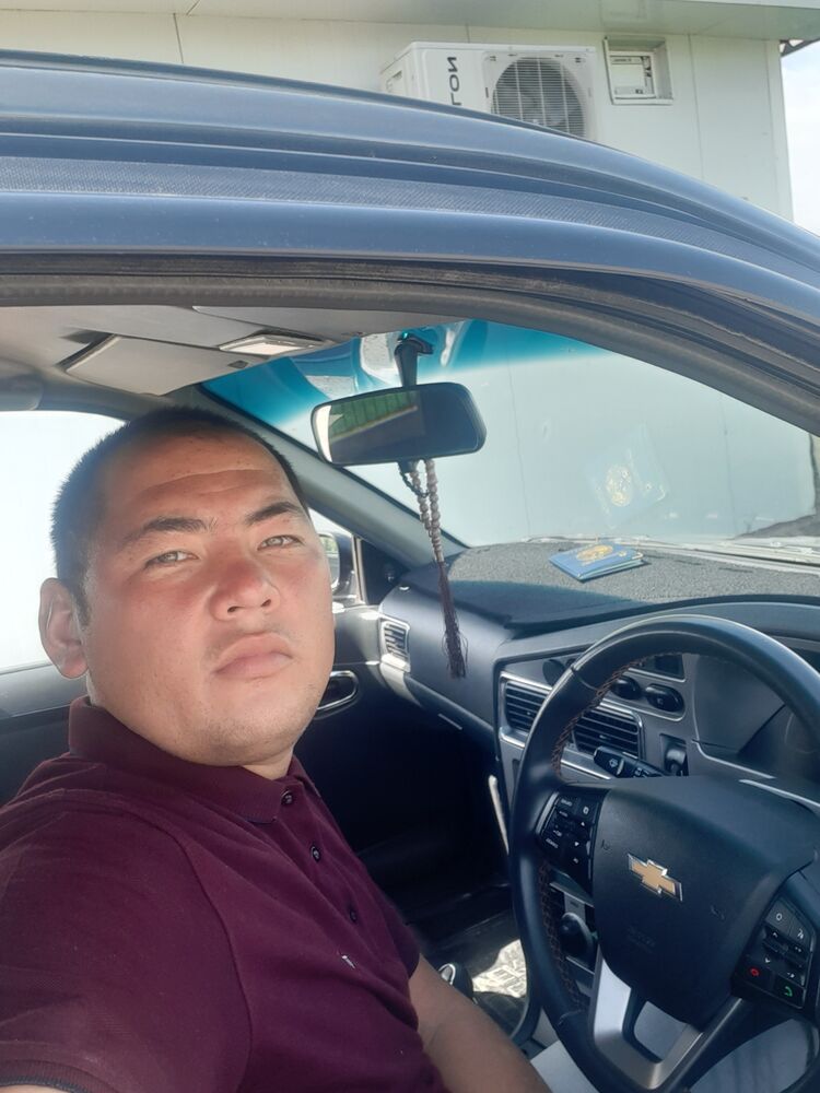  31279726  , 33 ,    