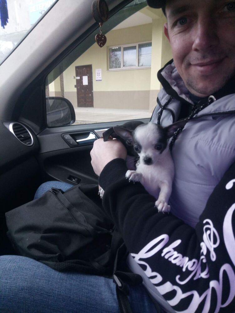 ���������� �������, ���� ������� �������, 40 ���, ������������ ��� ������, ����� � ���������