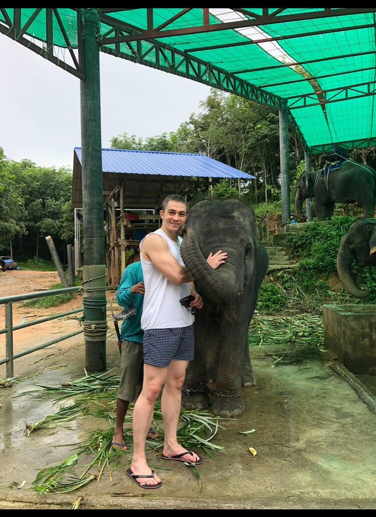 ���� 44094996 ������� ��������, 36 ���, ���� ���������� � �������-��-����